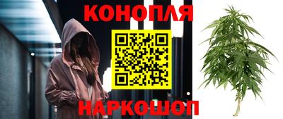 мяу мяу мука Донской