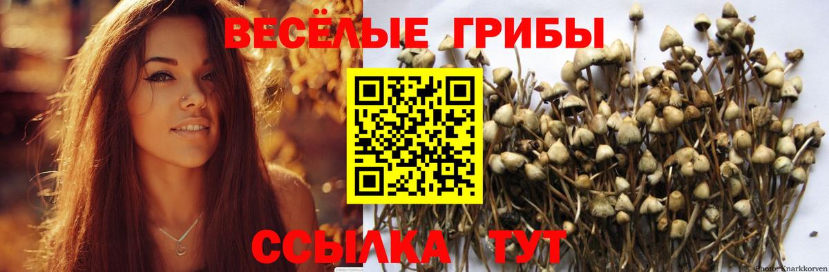 Псилоцибиновые грибы прущие грибы  Вход с VPN  Лабинск 